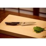MIYABI Iki 3.5-inch Paring Knife