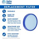 Fette Filter - 304087001 Premium Pre-Motor Vacuum Filter Compatible with Select Hoover Bagless Upright Vacuums Compare to Part Number 304087001 (QTY2)