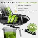 GEMINI APPLIANCES Cold Press Juicer Machine | 3 Inch Wide Chute | High Nutrition & Juice Yield | 3 Juicer Modes | Easy to Clean | Slow Masticating Juicer for Vegetables and Fruits [Black]