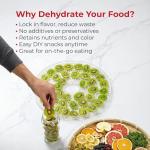 Rosewill Food Dehydrator Machine, 5 BPA-Free 12.6’ Trays, Adjustable Temperature Controls | 95-158°F | 350W, Jerky, Herbs, Fruit, Veggies, Dried Snacks, White