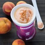 ZOKU Slush and Shake Maker - Quick Single Servings