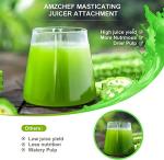 Masticating Juicer Attachment for All Kitchen Aid Stand Mixers, Easy to Clean Slow Juicing Parts, Cold Press Accessories for Fruits & Vegetables, Machine not Included, Black