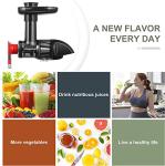 Masticating Juicer Attachment for All Kitchen Aid Stand Mixers, Easy to Clean Slow Juicing Parts, Cold Press Accessories for Fruits & Vegetables, Machine not Included, Black