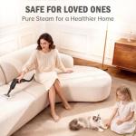 Entalva 1.69 Quart Portable Steam Cleaner for Home