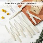 XANAPON Ergonomic Kitchen Knife Set with Sharpener