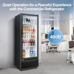 Tylza 350L Glass Door Commercial Beverage Cooler