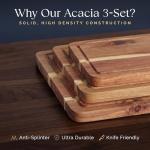 Non-Toxic Acacia Cutting Board Set with Stand
