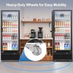 Tylza 350L Glass Door Commercial Beverage Cooler