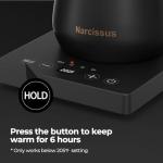 Narcissus P901 Electric Gooseneck Kettle with Temperature Control