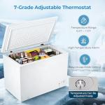 Antarctic Star 10.0 Cu Ft Chest Freezer with Baskets