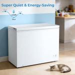 Antarctic Star 10.0 Cu Ft Chest Freezer with Baskets