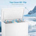 Antarctic Star 10.0 Cu Ft Chest Freezer with Baskets