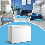 Antarctic Star 10.0 Cu Ft Chest Freezer with Baskets