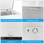 Antarctic Star 10.0 Cu Ft Chest Freezer with Baskets