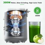 OMMO Cold Press Juicer with Wide Feed Chute