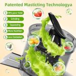 Budsom Slow Masticating Juicer for Whole Fruits