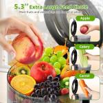Budsom Slow Masticating Juicer for Whole Fruits
