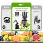 Budsom Slow Masticating Juicer for Whole Fruits