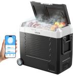 12/24V Electric Cooler for Camping and Fishing