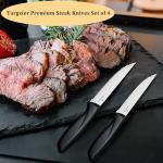 Stainless Steel Steak Knives Set of 4