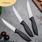 Stainless Steel Steak Knives Set of 4