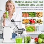 GVODE Powerful Cold Press Juicer with Dual Chute