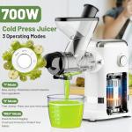 GVODE Powerful Cold Press Juicer with Dual Chute
