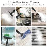 Handheld Steam Cleaner with Adjustable Handle and Accessories