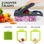 10-in-1 Vegetable Chopper and Mandoline Slicer