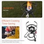 VEVOR 10 Qt Outdoor Fish and Wing Fryer