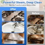 High-Pressure Portable Steam Cleaner with Accessories