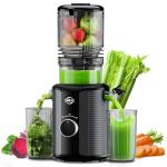 Cold Press Masticating Juicer with Wide Chute