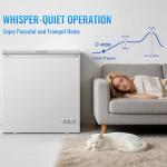 Compact 5 Cu.Ft Chest Freezer with Thermostat