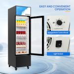 ROVSUN 6 Cu.Ft Beverage Display Refrigerator with Glass Door