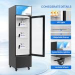 ROVSUN 6 Cu.Ft Beverage Display Refrigerator with Glass Door