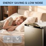 Upstreman 3.0 Cu.ft Compact Upright Freezer