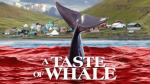 A Taste of Whale