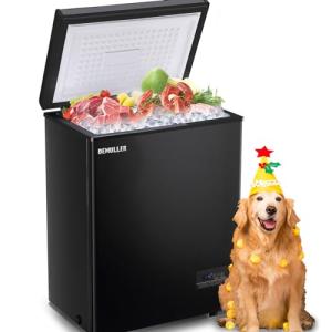 Compact DEMULLER Chest Freezer with Removable Baskets