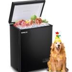 Compact DEMULLER Chest Freezer with Removable Baskets