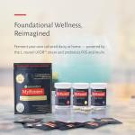 MyReuteri™ Complete Starter Culture – LRDR™ + 13 g FOS/Inulin Prebiotic Blend – Live Probiotic Cultures – Makes 6 Quarts Yogurt‑Like Cultured Dairy – Developed with Dr. William Davis