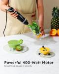 Sangcon 3-in-1 Handheld Immersion Blender - Black