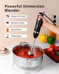 Sangcon 3-in-1 Handheld Immersion Blender - Black