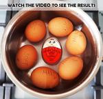 NobleEgg Color-Changing Boil Timer for Eggs
