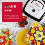 Nesco FD-80A Square Food Dehydrator for Snacks