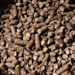 Bear Mountain Alder Wood Pellets for Smoking & Grilling
