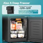 Compact Double Door Mini Fridge with Freezer