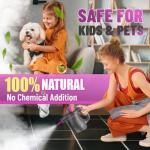 Handheld Steam Cleaner with 10 Accessories and Safety Lock