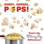 Whirley Pop Stovetop Popcorn Maker - Silver