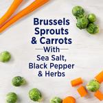 Birds Eye Seasoned Brussels Sprouts and Carrots, 15 OZ