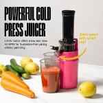 Ventray Ginnie Mini Cold Press Juicer - Pink